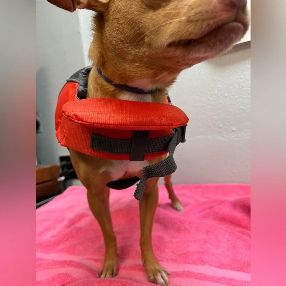 Outward Hound Red Dog Life Jacket